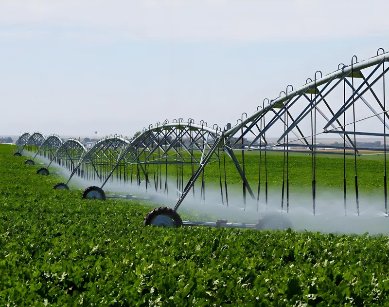 Micro-sprinkler irrigatiesysteem